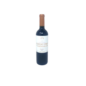 Benegas Lynch Malbec Mendoza Argentina 2015 - 750 ml Wines Benegas 